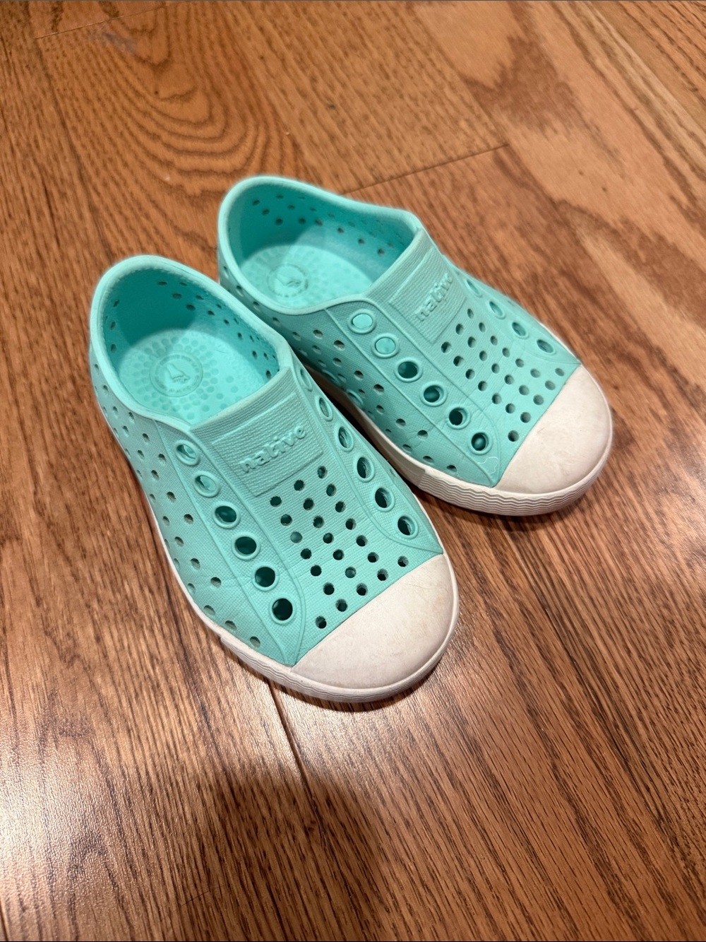 Native C5 Slip-On Water Shoes in Aqua